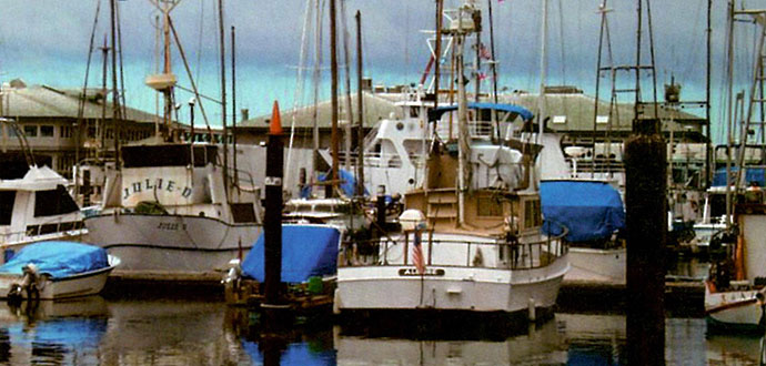 The Hunt for RFI: Unjamming a Coast Harbor