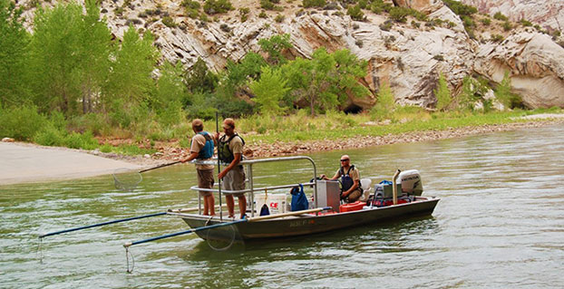 Fishy Business: Handhelds Help Remove Invasive Species from Utah River