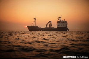 Research expeditions are conducted worldwide aboard the M/V OCEARCH, which serves as both a mothership and at-sea laboratory.