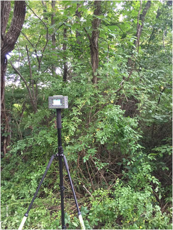 Collecting Points in Difficult Environments with the JAVAD TRIUMPH-LS