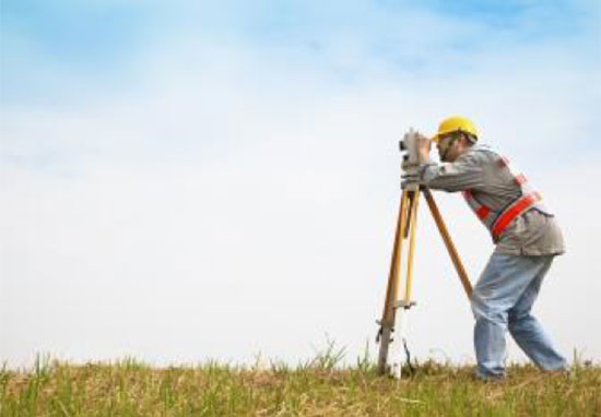 Surveyors: Who are they?