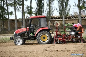Self-driving tractors using BeiDou are helping farmers plant vegetables, such as at Tawan Village of Wuzhong City in China’s Ningxia Hui Autonomous Region. The smart tractor uses the BeiDou navigation system to help local farmers improve efficiency and modernize agricultural work. (Photo: Wang Peng, Xinhua News Agency)