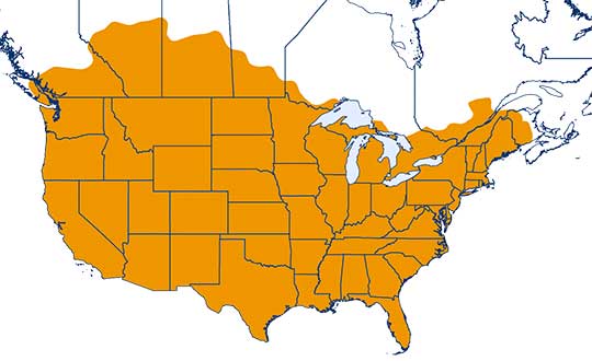 CenterPoint RTX Fast now available coast to coast in US, Canada