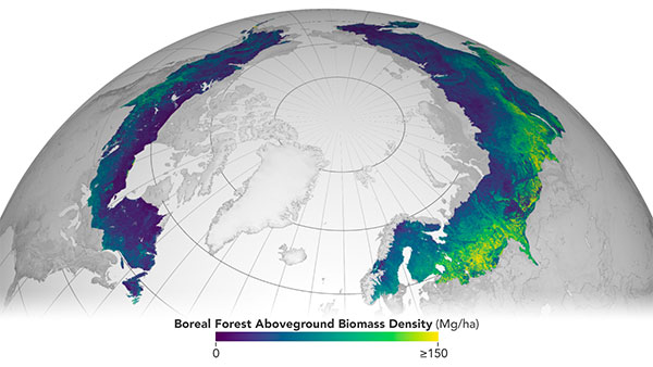 ESA and NASA launch open-source biomass platform