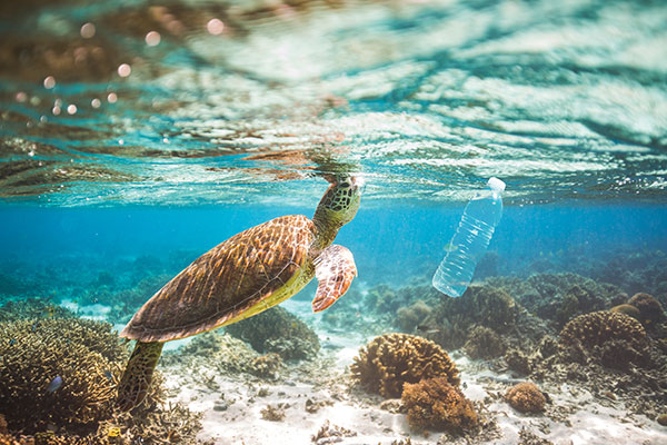 Seen & Heard: Russia threatens GPS, protecting sea turtles