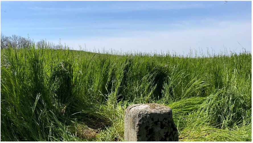 Mapping the original stones along the Mason-Dixon line