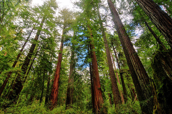 Climate change in the Big Basin mapped with GNSS and lidar technology