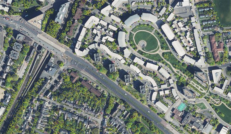 Birmingham creates mapping portal using Bluesky Tree data
