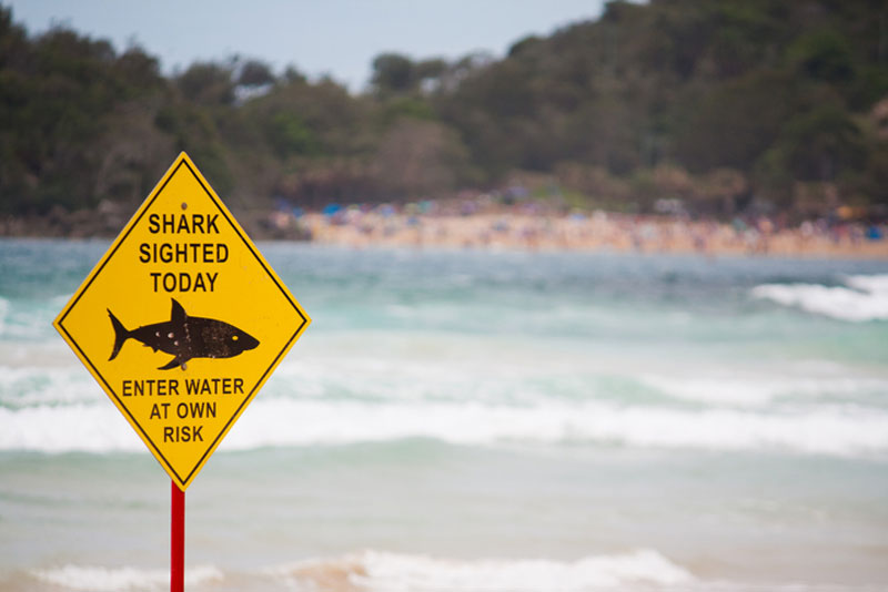Image: mingis/iStock / Getty Images Plus/Getty Images