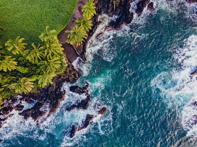 Innovation Insights: Science in paradise