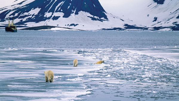 Seen & heard: Mapping the melting arctic and India’s war on drugs