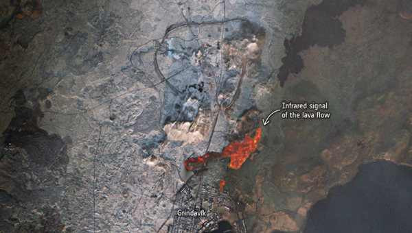 Seen & Heard: Deep sea coral reefs and lava in Iceland