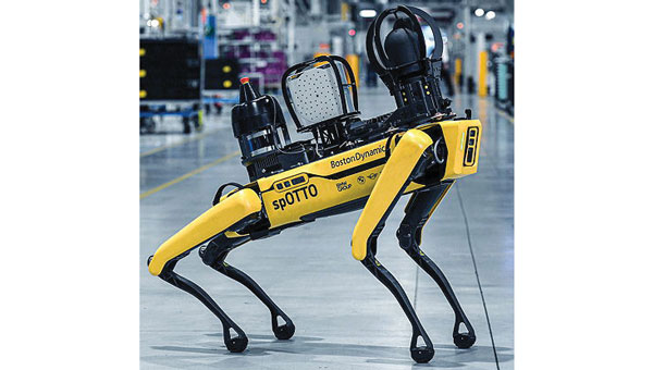 Seen & Heard: Robotic dogs, coral bleaching, songs for cows