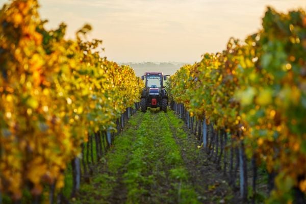 Virtual vineyards created for self-driving tractors