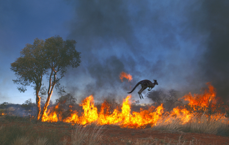 Aptella offers free RTK positioning for bushfire and flood recovery volunteers