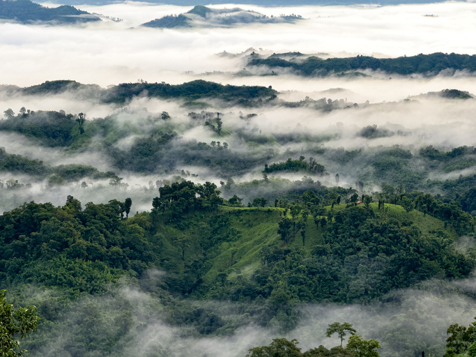 Survey to determine highest mountain peak in Bangladesh