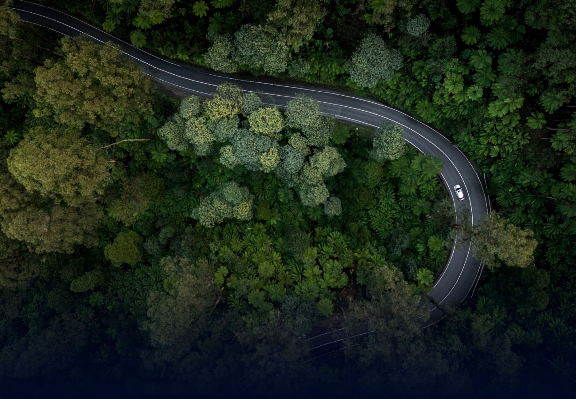 Focal Point Positioning launches Precise+ for sub-meter GNSS accuracy in challenging environments