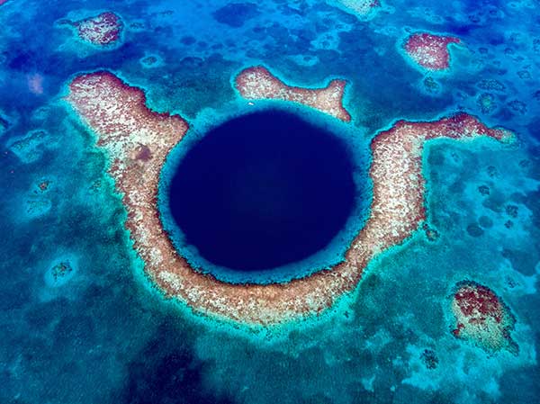 Photo: JamieB333/Shutterstock.com